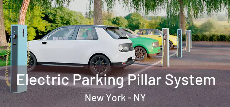  Electric Parking Pillar System New York - NY