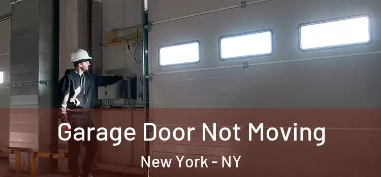 Garage Door Not Moving New York - NY