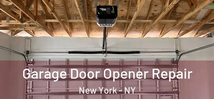  Garage Door Opener Repair New York - NY