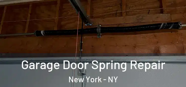  Garage Door Spring Repair New York - NY