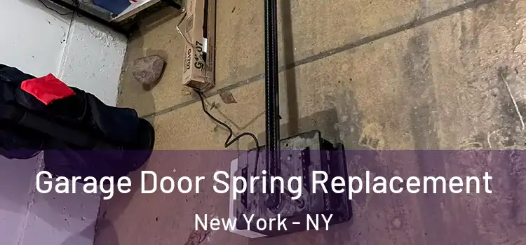  Garage Door Spring Replacement New York - NY