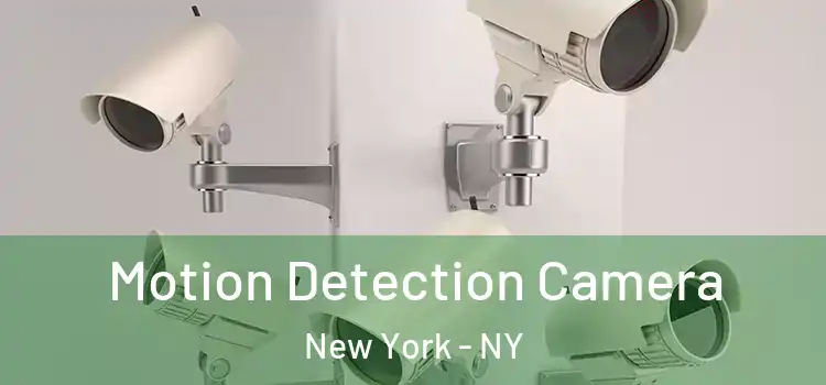  Motion Detection Camera New York - NY